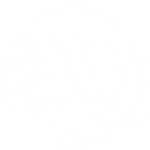 WordCamp Belgrade, Serbia 2026